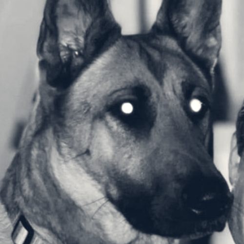 Zoey